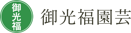 御光福園芸|イチゴ狩りも楽しめる、石川県のこまつな・イチゴ農園