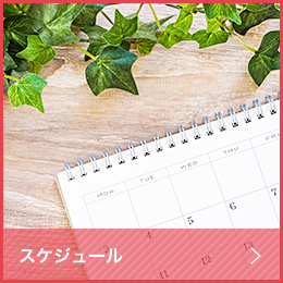スケジュール
