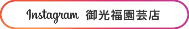 Instagram 御光福園芸店 Instagram 御光福園芸店
