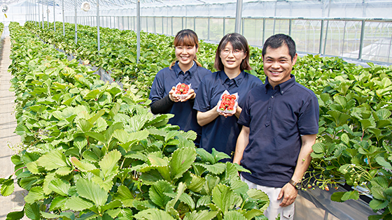 手間を惜しまず育てています